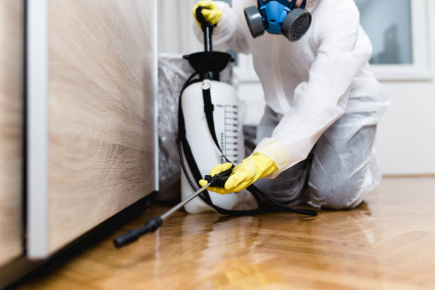 Best Pest Control Near Me  in Comfort, TX