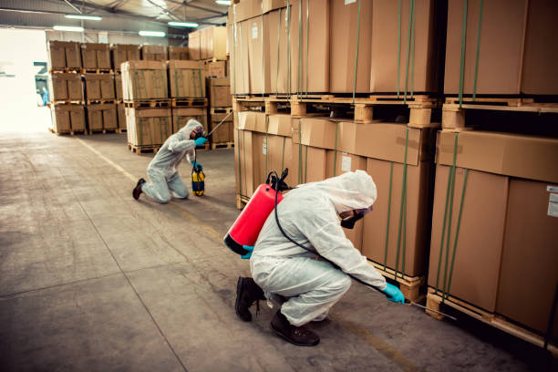 Best Best Pest Control Companies  in Comfort, TX