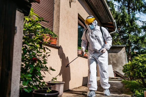 Best Flea Control Services  in Comfort, TX