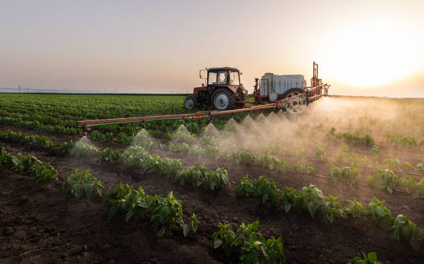 Best Commercial Pest Control Services  in Comfort, TX