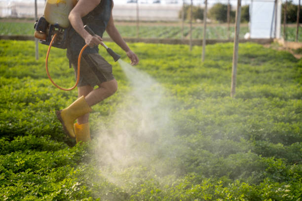 Best Best Pest Control Near Me  in Comfort, TX