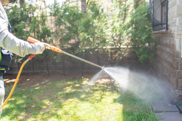 Best Pest Control Near Me in Comfort, TX