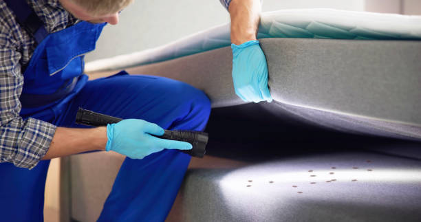 Best Pest Removal Services  in Comfort, TX