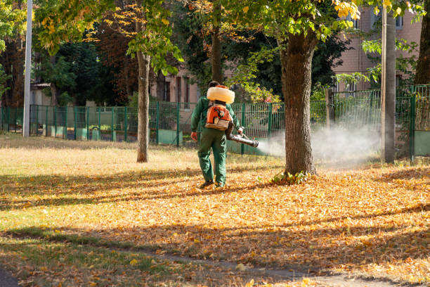 Reliable Comfort, TX Pest Control Solutions