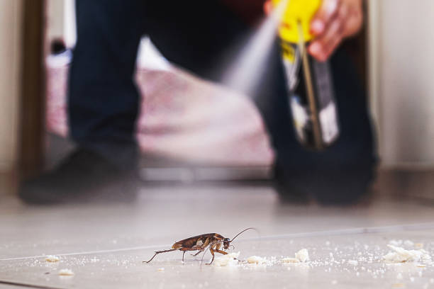  Comfort, TX Pest Control Pros